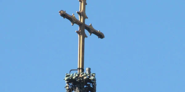 cruce cluj