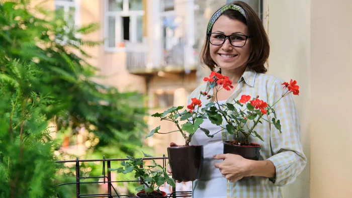 Când se mută plantele în casă toamna?