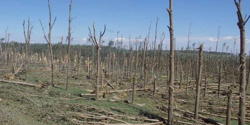 clima natura