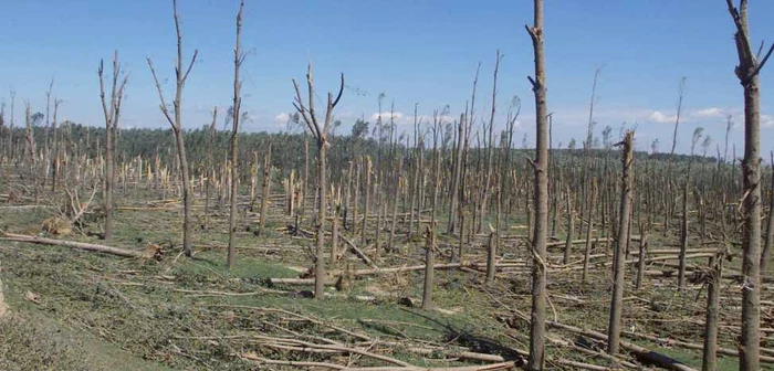 Activitatea umană privind utilizarea resurselor energetice fosile duce la dezechilibrul termic FOTO Adevărul