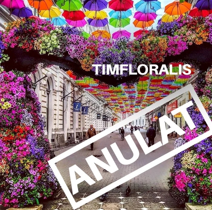 Timfloralis anulat de administraţia Fritz FOTO Facebook/Dan Diaconu