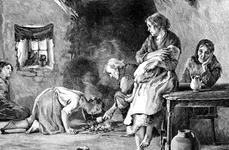 Marea Foamete 1845 1849 aproape a lichidat Irlanda jpeg