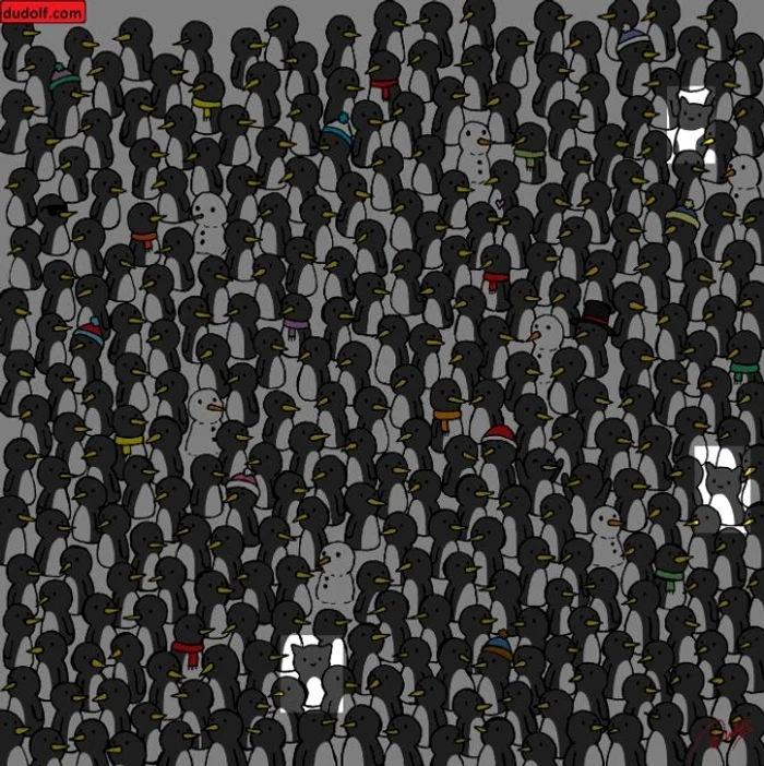 Rezolvarea provocării / foto: dudolf.com