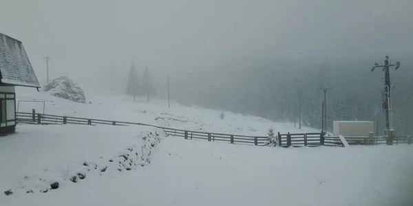 ninsoare suceava 
