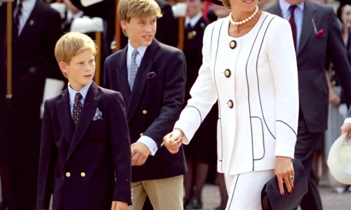 4 profimedia 0105897797 jpg jpeg