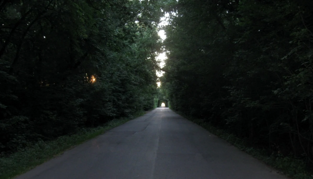 Ciornuleasa, rezervaţie naturală. Şoseaua Mănăstirea-Luica trece prin pădure Foto: ciclist.wordpress.com