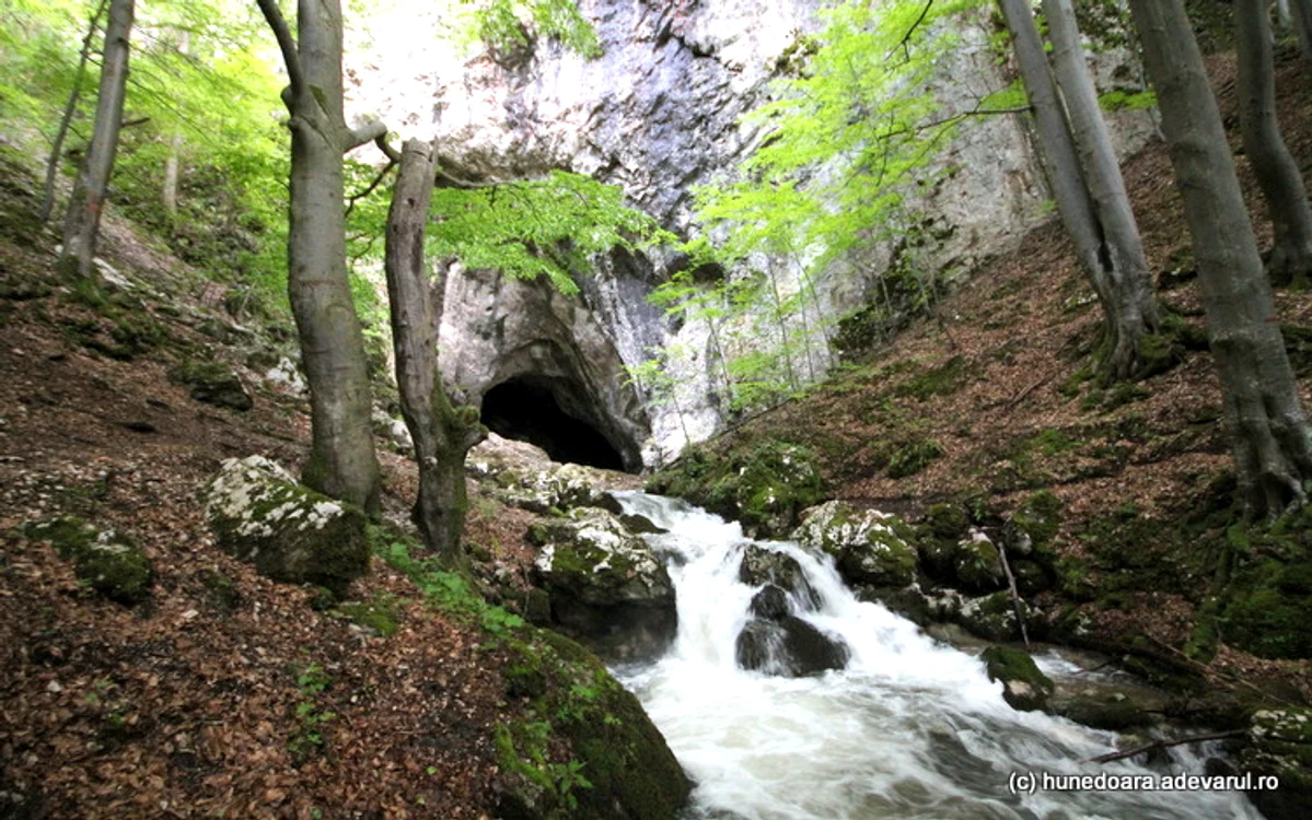 Peștera Cioclovina. Foto: Daniel Guță