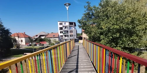 Pasarela de la Uzina de Apă din Timişoara a fost colorată FOTO Ş.Both
