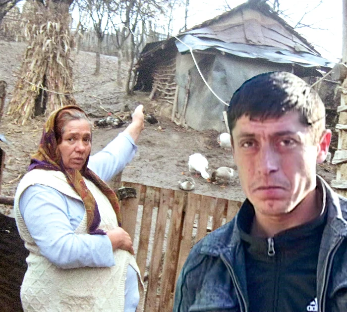 
    "Aici şi-a făcut de cap nenorocitul cu iapa Stela." Daniel Mărunţelu riscă până la 5 ani de închisoare  