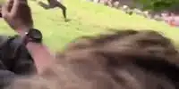GIF Cursa de rostogolit brânză