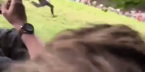 GIF Cursa de rostogolit brânză