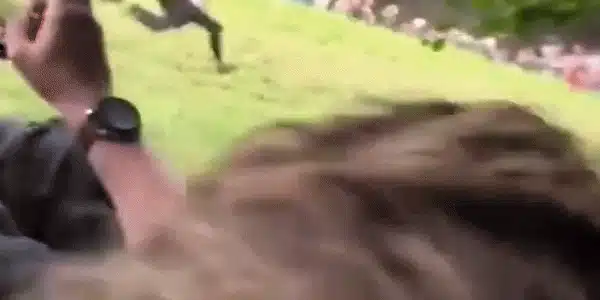 GIF Cursa de rostogolit brânză