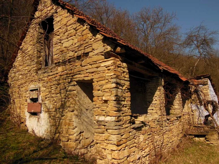 case piatra ceru bacainti