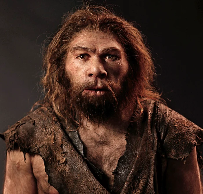 8 chipul unui om de neanderthal newyorker com jpg jpeg