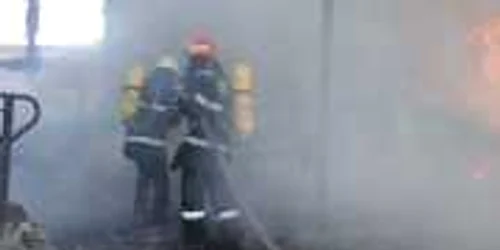 Pompierii au stins flăcările într-o jumătate de oră