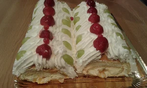 rulada diplomat jpeg