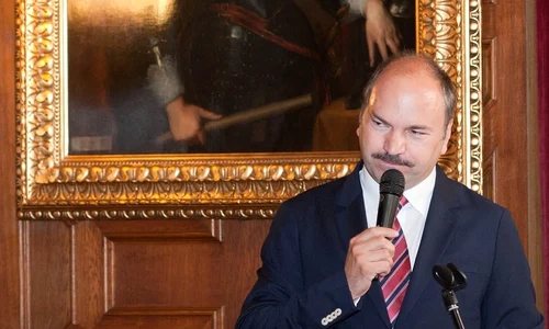 Narcis Dorin Ion, Muzeul Național Peleș