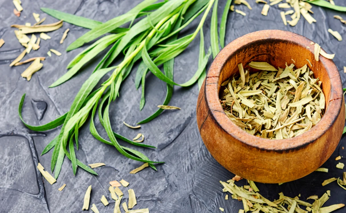 Tarhonul se poate folosi atât verde, cât și uscatFoto: Shutterstock