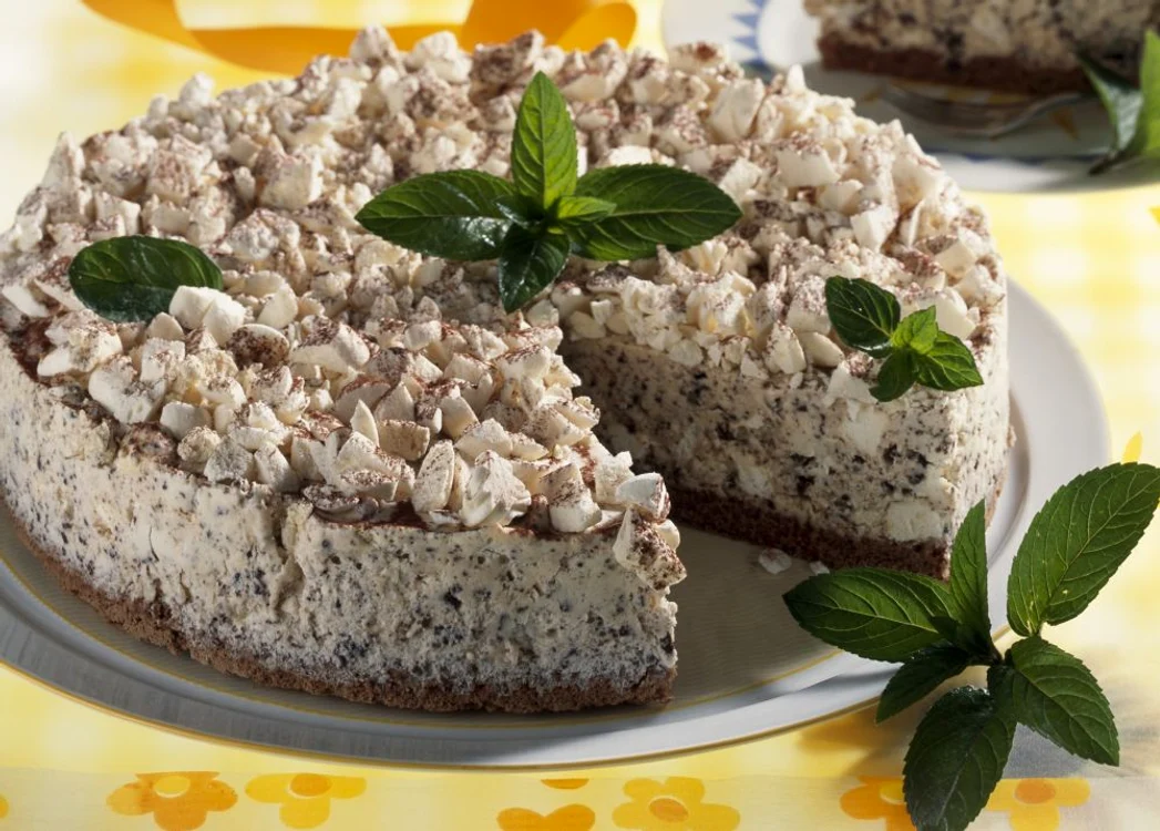 tort inghetata facut in casa jpeg