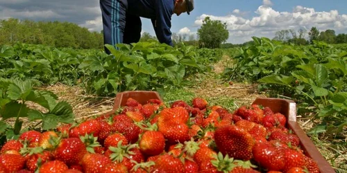 Foto arhivă