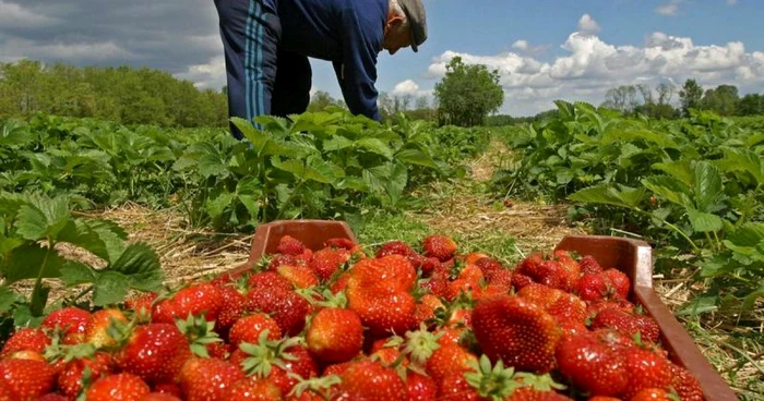 Foto arhivă