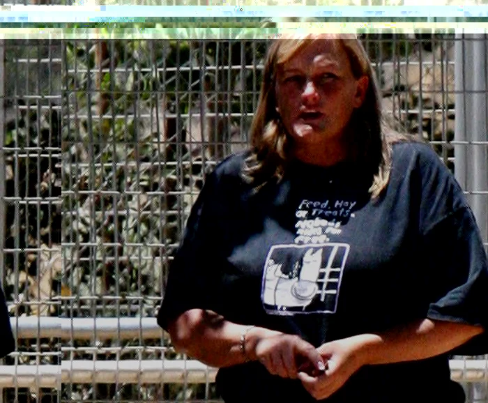 Debbie Rowe este mama a doi dintre copiii lui Michael Jackson FOTO Wenn
