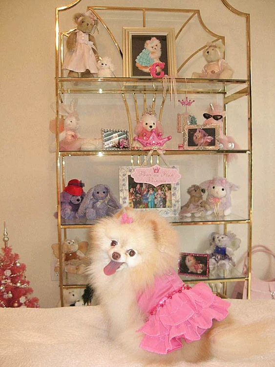 Foto: Photoland/Caters