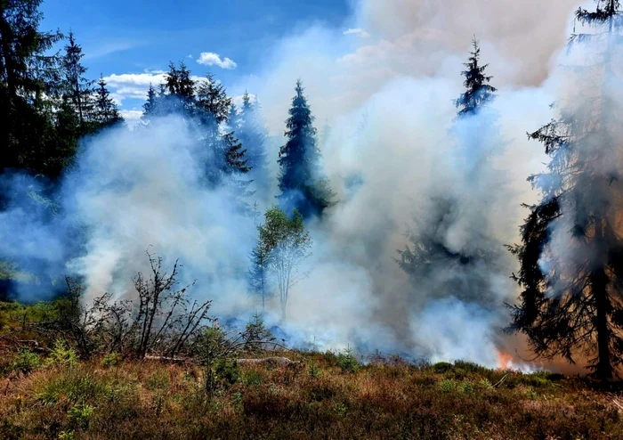 incendiu apuseni