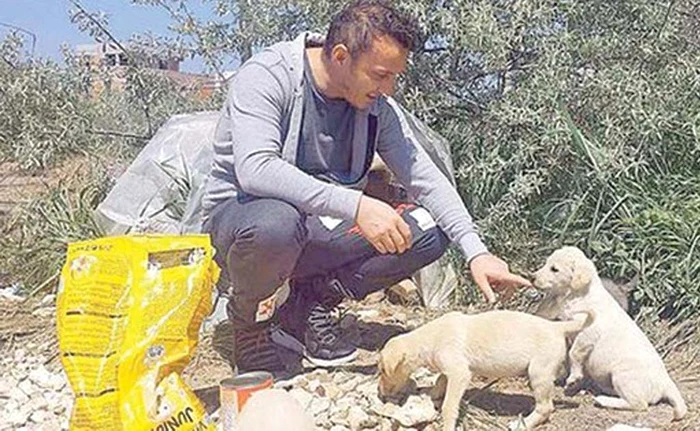 Trăistariu îngrijește căţelușii fără stăpân