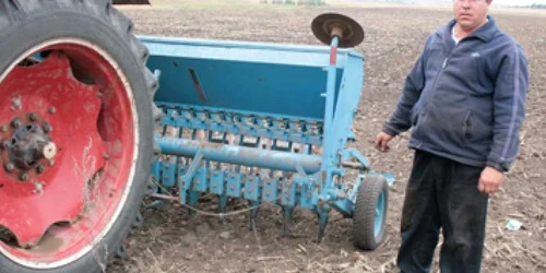 Neamţ: Grâul nemţenilor, compromis de secetă