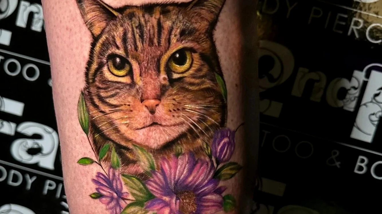 cat a 3 jpg