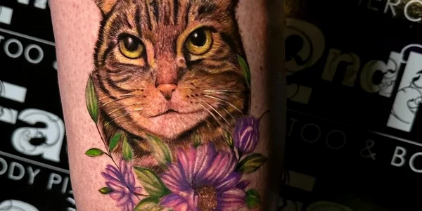 cat a 3 jpg