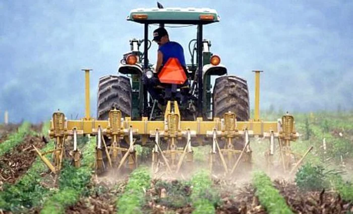 Superstițiile spun că agricultorii nu lucrează în ziua sfântă, pentru a evita pagubele făcute de păsări