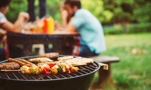 Gratar FOTO Shutterstock 