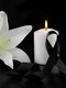 doliu png