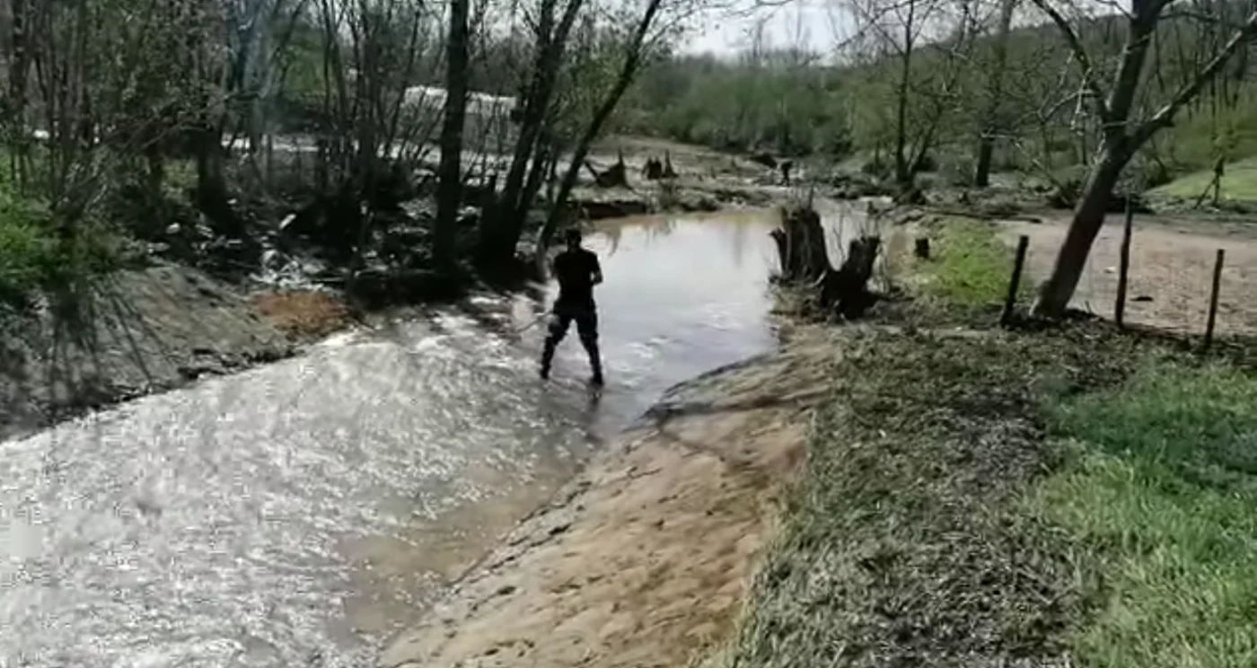 FOTO Captura de ecran Sursa ISU Iaşi