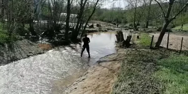 apa