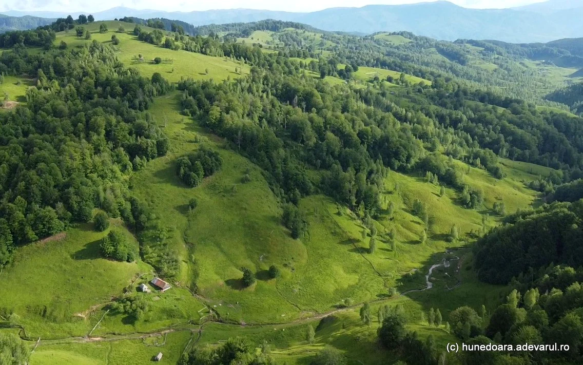 Poiana Omului din Muntii Sureanu  Foto Daniel Guță 21 jpg