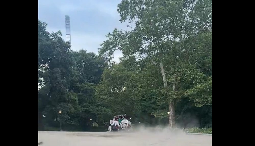 Momentul în care un adolescent de 18 ani e aruncat dintr-o trăsură, în Central Park din New York. Băiatul a murit