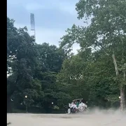 accident trasura Central Park FOTO captura X png