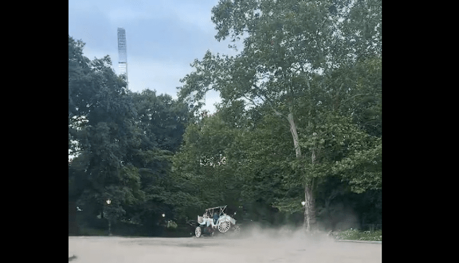 Momentul în care un adolescent de 18 ani e aruncat dintr-o trăsură, în Central Park din New York. Băiatul a murit