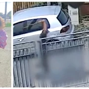 Tânără gravidă ucisă cu toporul 