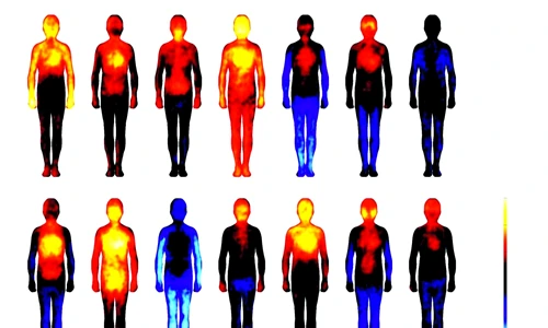 1 69131 original jpg jpeg