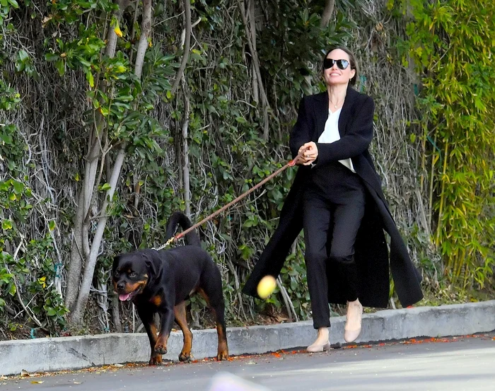 5 angelina jolie si vivienne in la 2 jpg jpeg