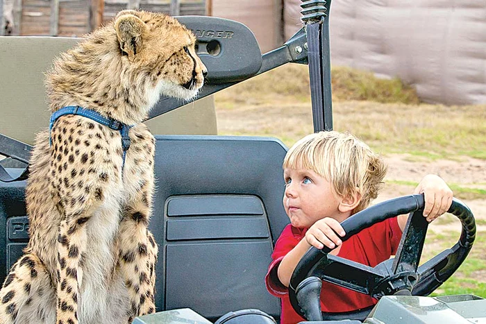 Primul cuvânt rostit de fetiţa de un an a fost în limba… gheparzilor (Fotografii: Photoland/Caters)