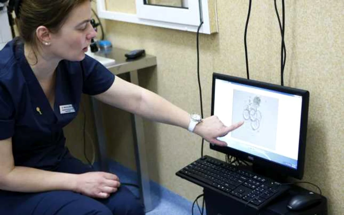 Medicul Marilena Băluţă ne-a arătat cum se înmulţesc celulele embrionare FOTO: Eduard Enea