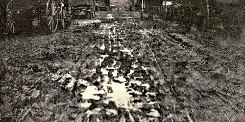 Aradul pe vremuri jpg