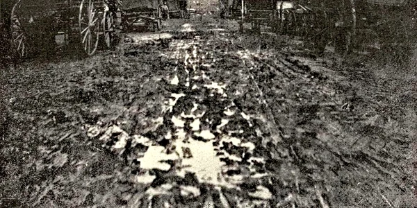 Aradul pe vremuri jpg