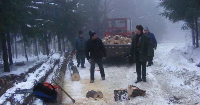 Defrisarile ilegale sunt o regula in muntii Lotrului