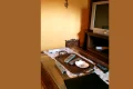 pisica webp